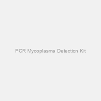 PCR Mycoplasma Detection Kit